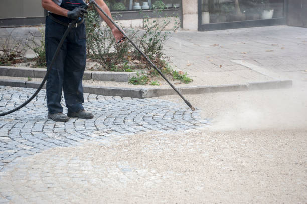 Animal Enclosure Cleaning in Westmere, NY